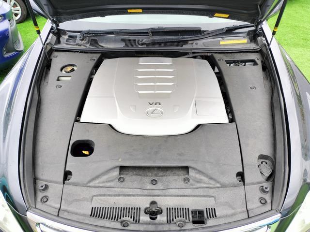 24766828_carP_l_19.jpg