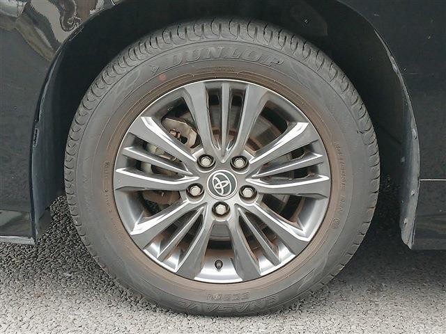 25728859_carP_l_7.jpg