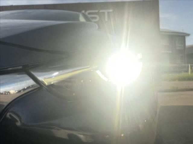 0208129A20260717D00610.jpg