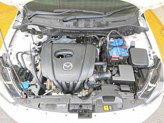 0508496A30260727W00106.jpg