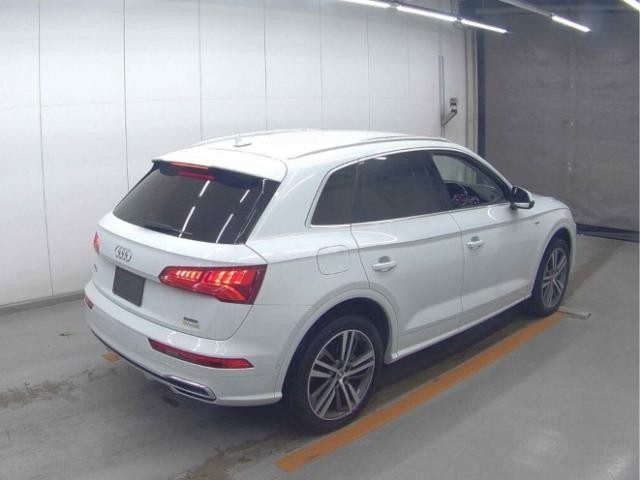 26127366_carP_l_10.jpg