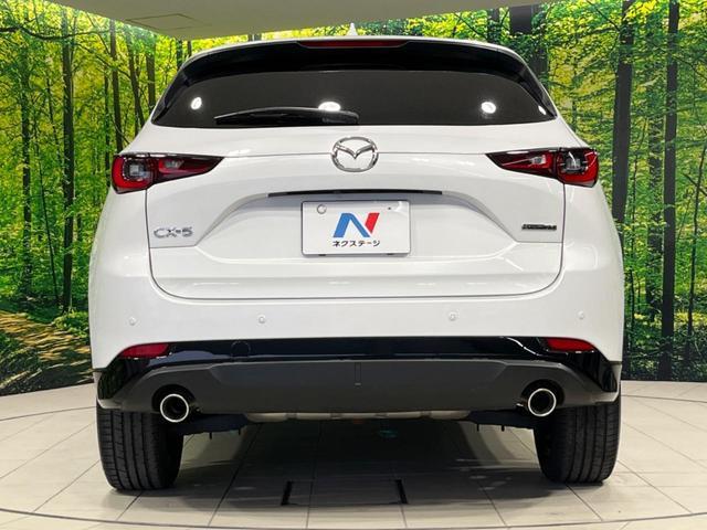 24767701_carP_l_11.jpg