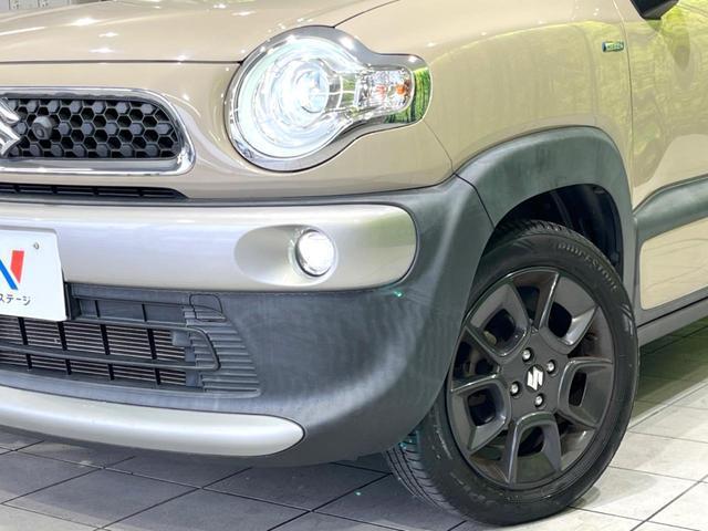24134148_carP_l_7.jpg