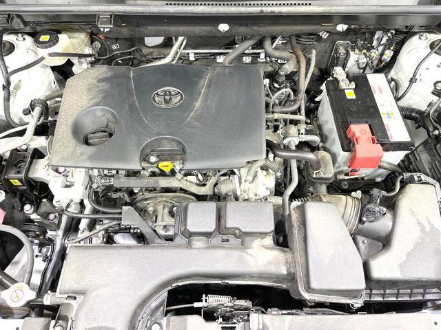 24602748_carP_l_20.jpg