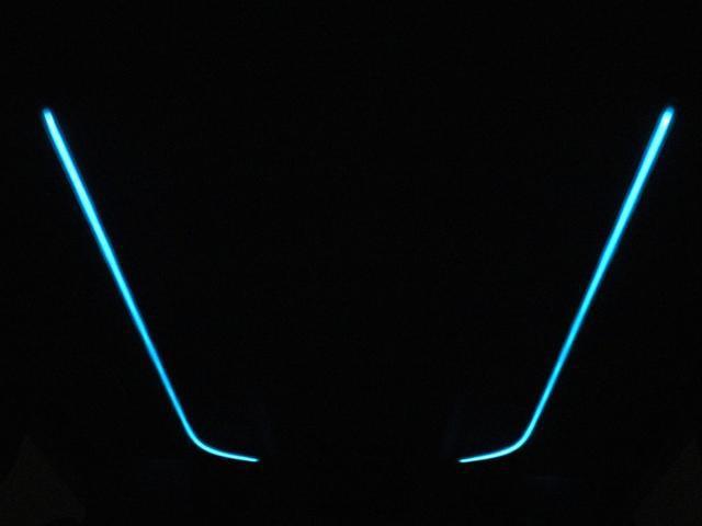 0541413A30260619W00214.jpg