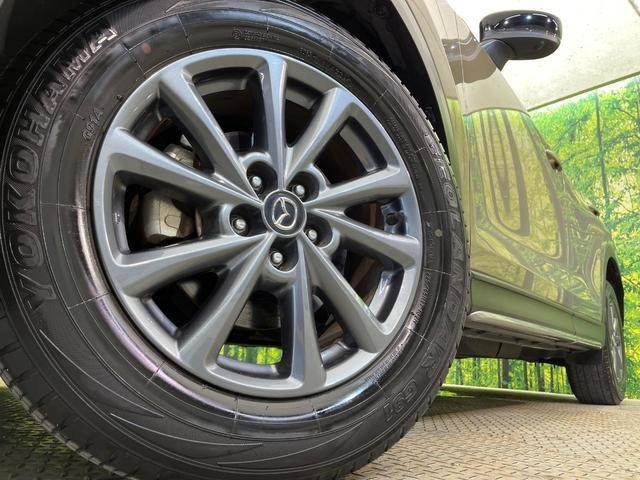 26710479_carP_l_7.jpg