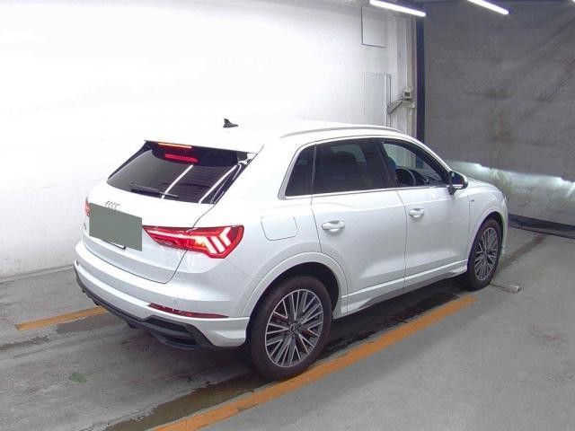 25090718_carP_l_10.jpg