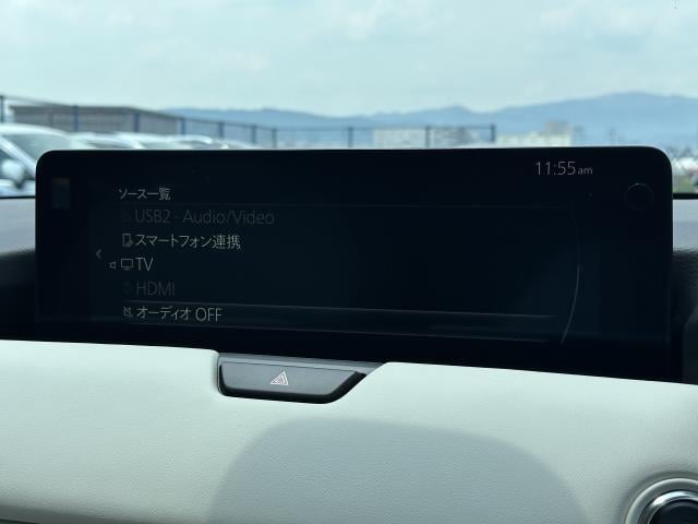 18283452_carP_l_10.jpg