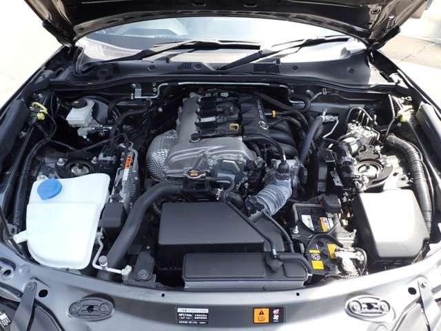 25990406_carP_l_13.jpg