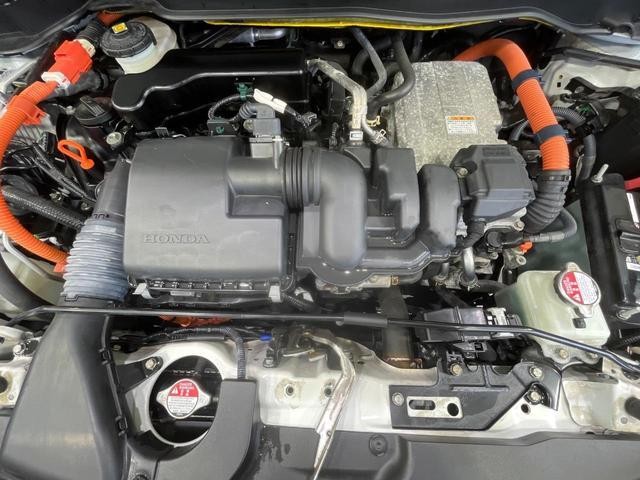 26168026_carP_l_16.jpg