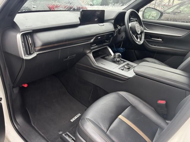 26925658_carP_l_4.jpg