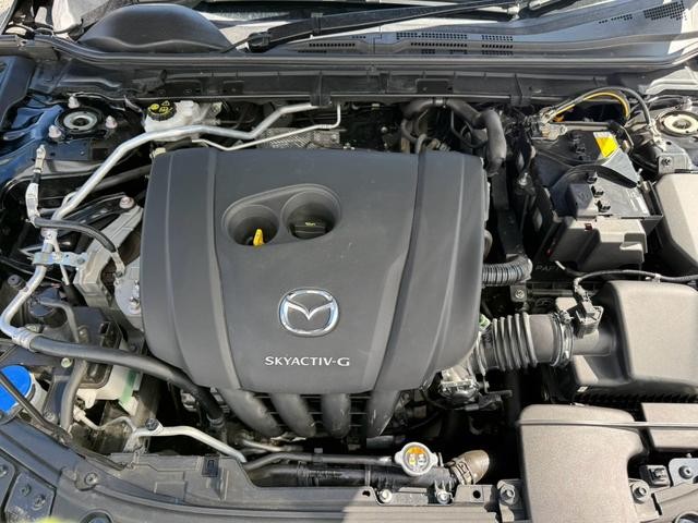 0708795A30261010W00714.jpg