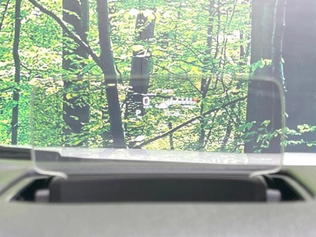 27139067_carP_l_13.jpg