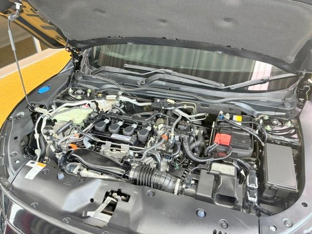 0560069A20260522W01010.jpg