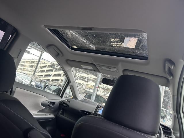 26357845_carP_l_9.jpg
