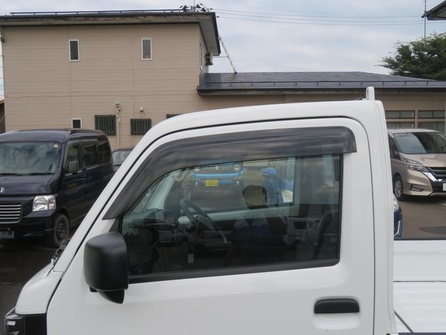 25997405_carP_l_8.jpg