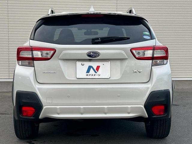 24340949_carP_l_11.jpg