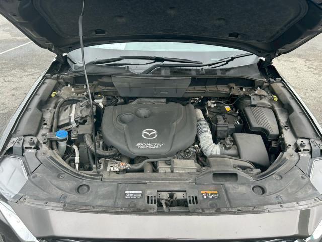 24244681_carP_l_17.jpg