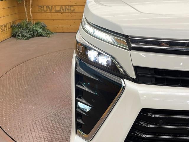 26578000_carP_l_6.jpg