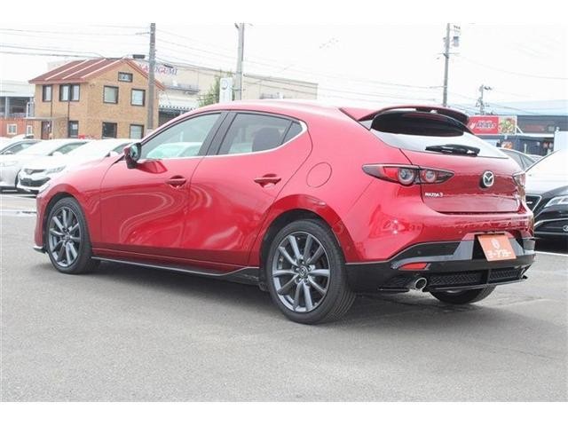 26592654_carP_l_2.jpg