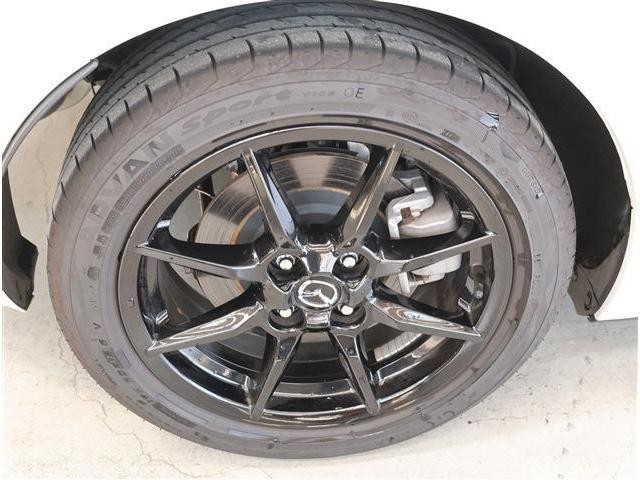 25658501_carP_l_13.jpg