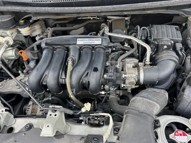 24995323_carP_l_12.jpg