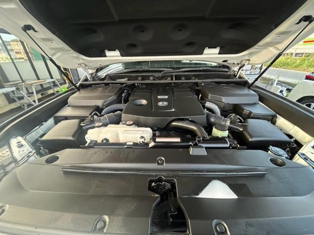 26000746_carP_l_17.jpg
