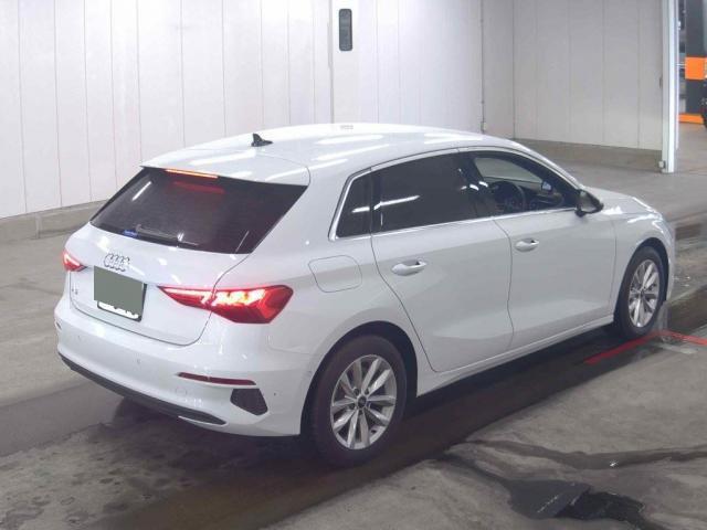 25090761_carP_l_10.jpg