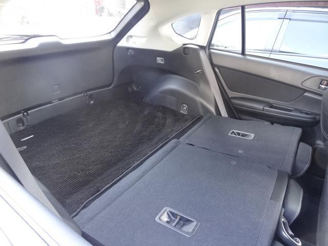 26002668_carP_l_7.jpg