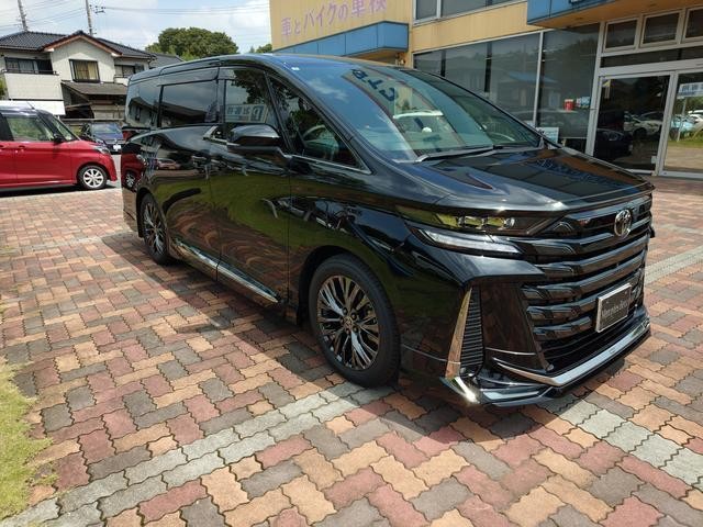 26002701_carP_l_2.jpg