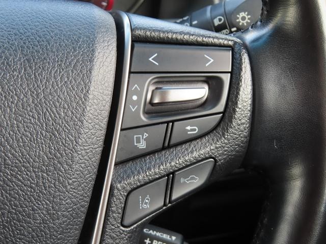 0707276A30260810W00119.jpg
