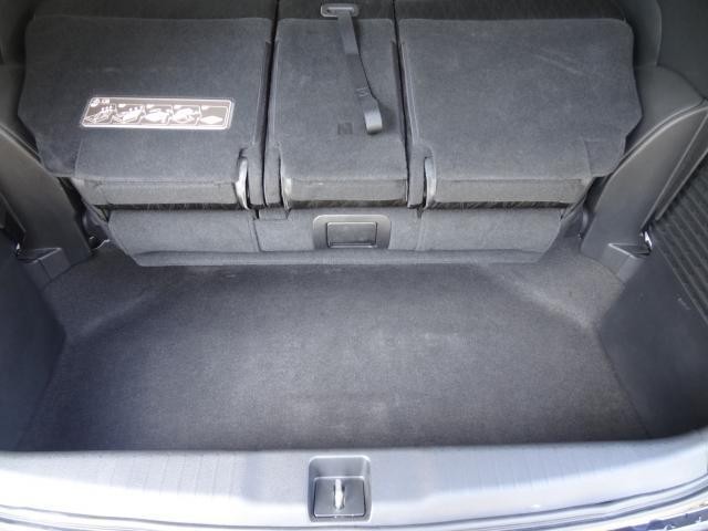 26002864_carP_l_6.jpg