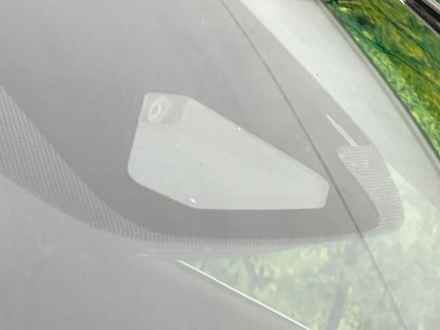 24625376_carP_l_13.jpg
