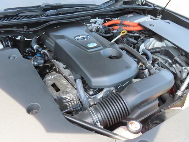 0541379A30260508W00118.jpg