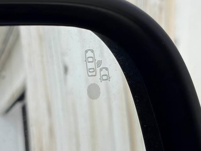 0208813A20260731D00606.jpg