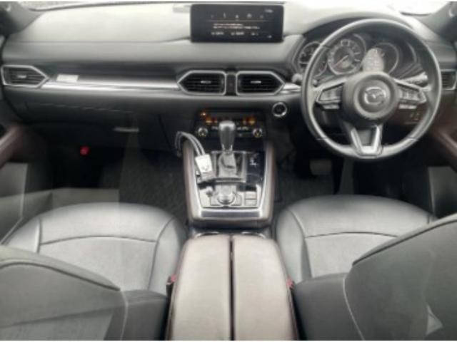 26645897_carP_l_15.jpg