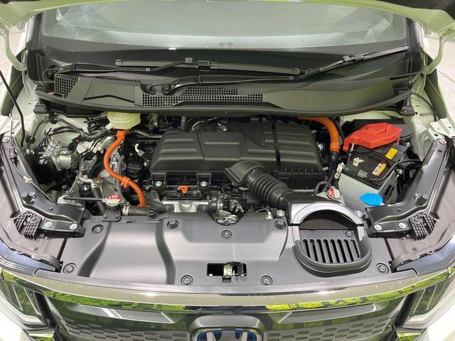 24625551_carP_l_16.jpg