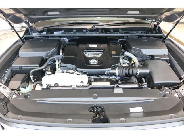 26002889_carP_l_17.jpg