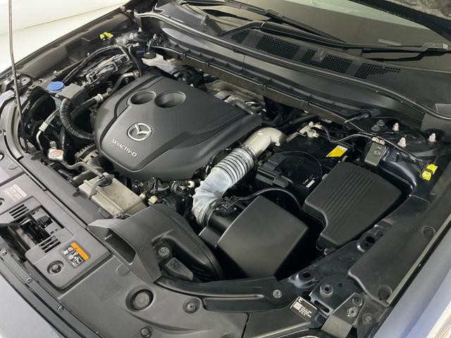 0504839A30260915W00514.jpg