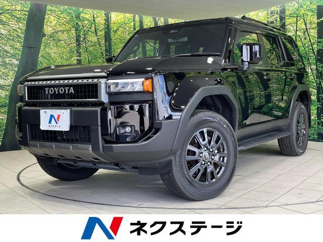 25848069_carP_l_1.jpg