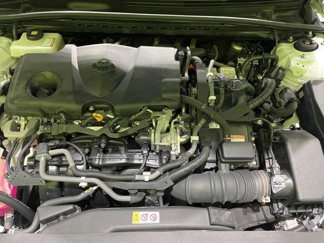 26168139_carP_l_18.jpg