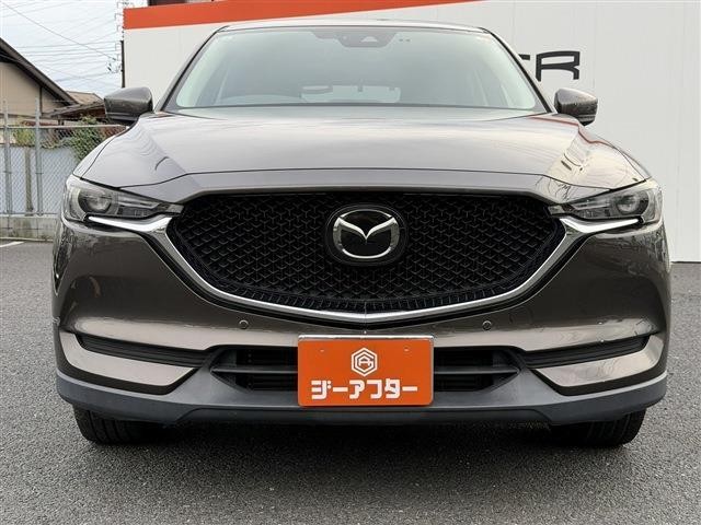 26099616_carP_l_17.jpg
