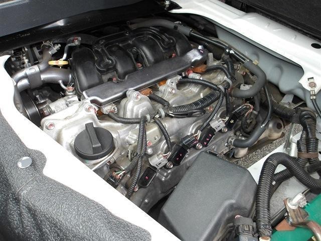 25852484_carP_l_16.jpg