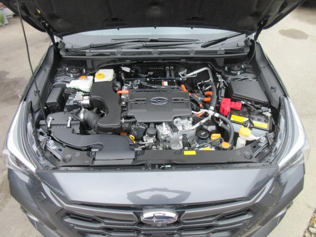 0561088A30260608W00217.jpg