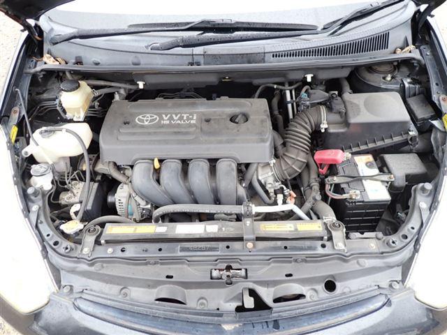08.jpg