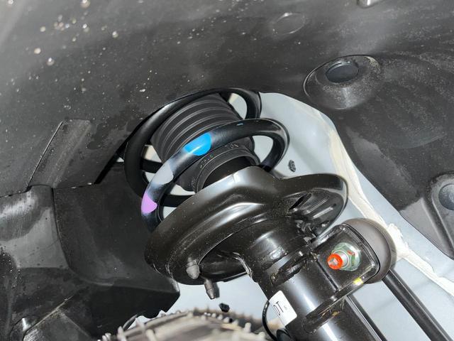 23169010_carP_l_20.jpg