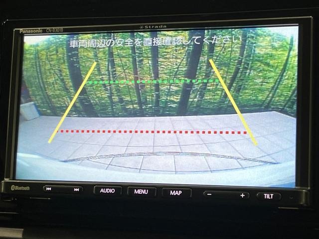 27116707_carP_l_4.jpg