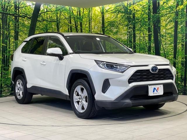 26861837_carP_l_11.jpg