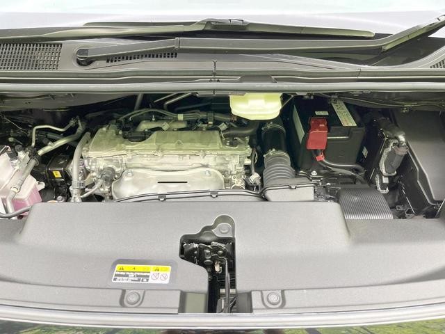 26168284_carP_l_16.jpg