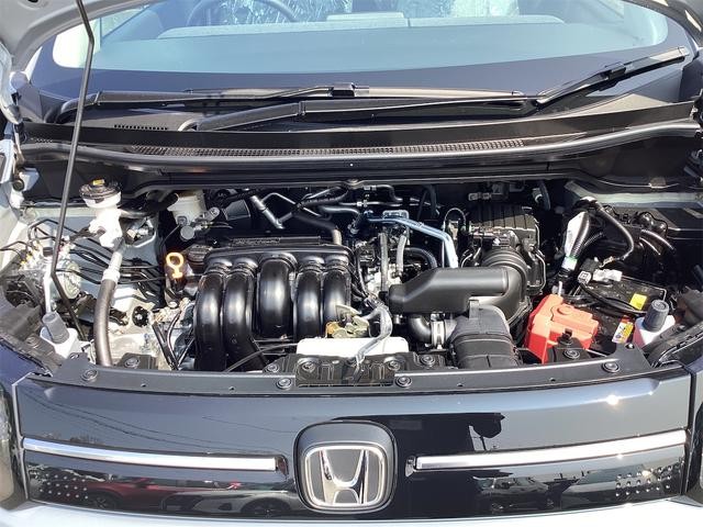 1300934A30260724W00619.jpg